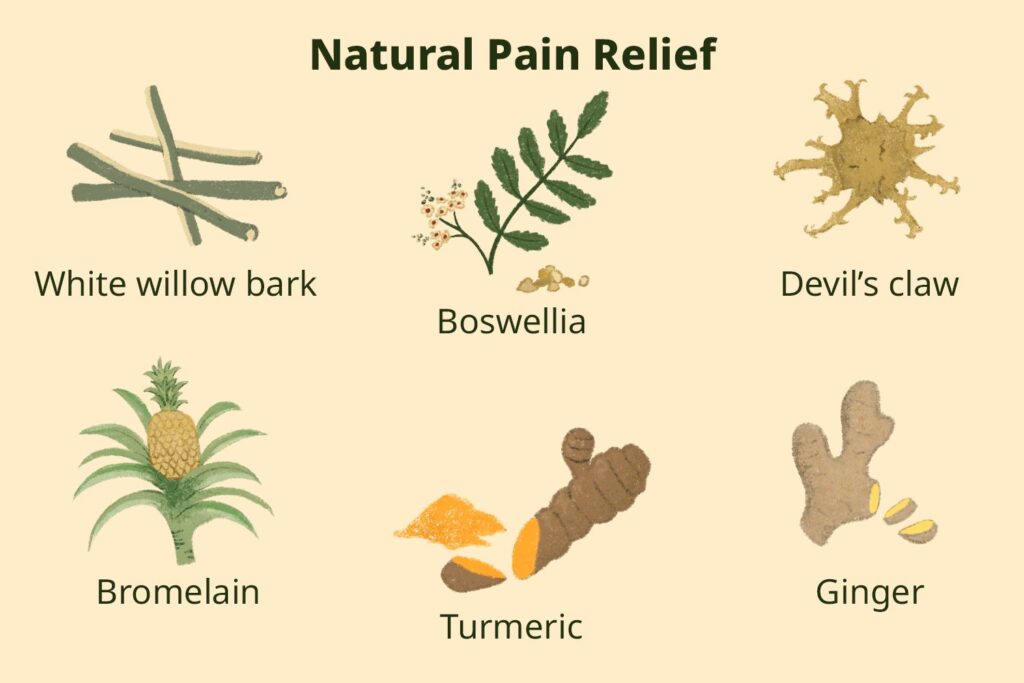 Does Herbal Tea Help With Natural Pain Relief?